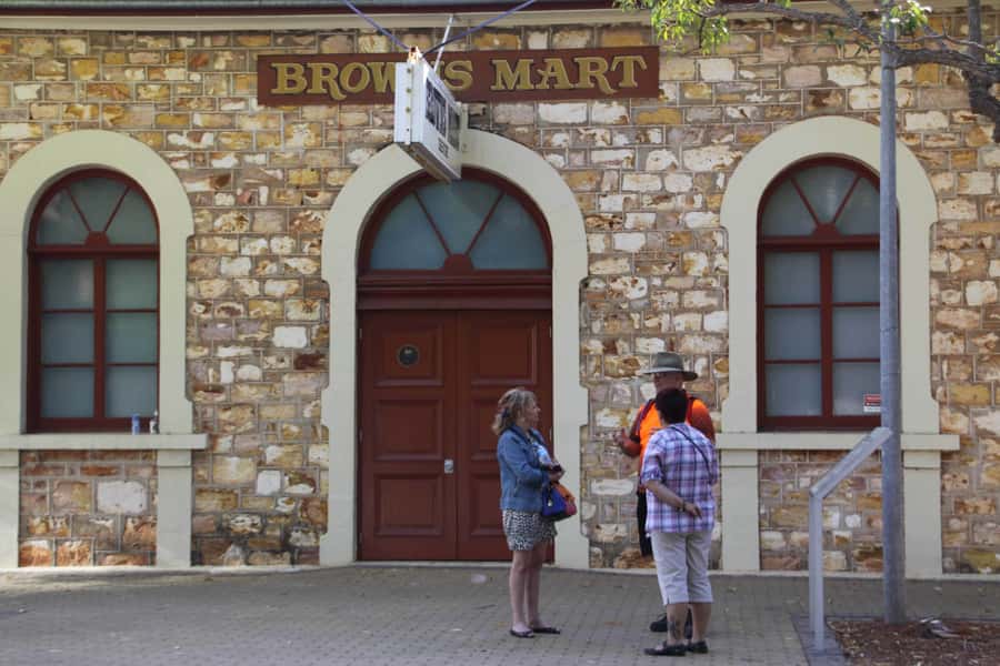 Darwin: Small Group 2-Hour Heritage Walk - Why a walking tour suits Darwin