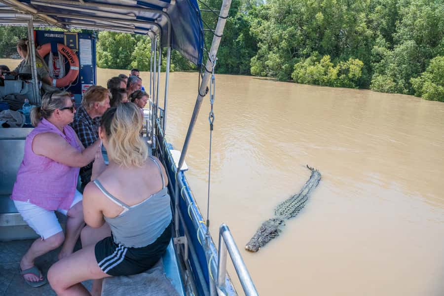Darwin: Spectacular Jumping Crocodile Adelaide River Cruise - Why this Adelaide River cruise is worth your time