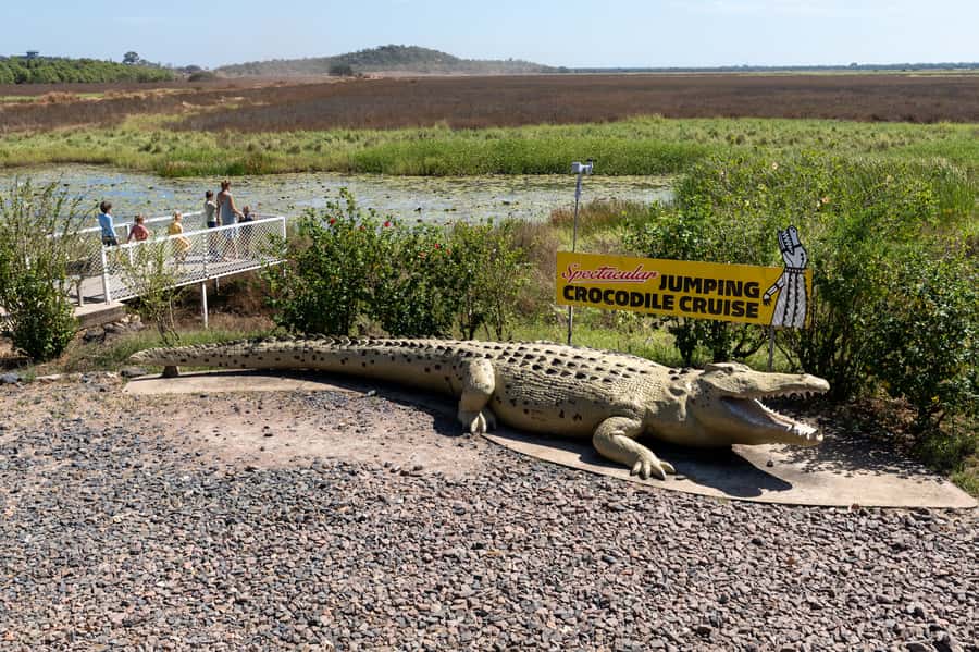 Darwin: Spectacular Jumping Crocodile Adelaide River Cruise - How the one-hour format affects the value
