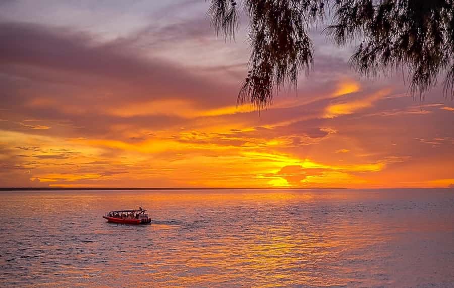 Darwin: Sunset Harbour Cruise with Fish and Chips Dinner - Key things to know before you book