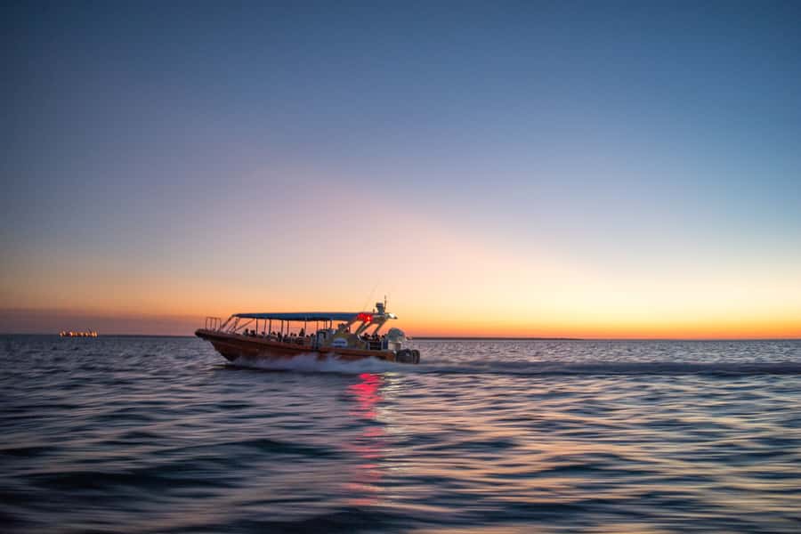 Darwin: Sunset Harbour Cruise with Fish and Chips Dinner - Is $77 good value?