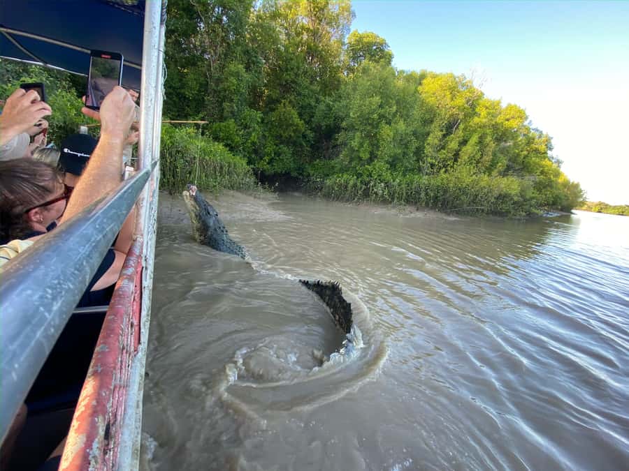Darwin: The Croc Bus to the Famous Jumping Crocodile Cruise - What the bus ride is really like