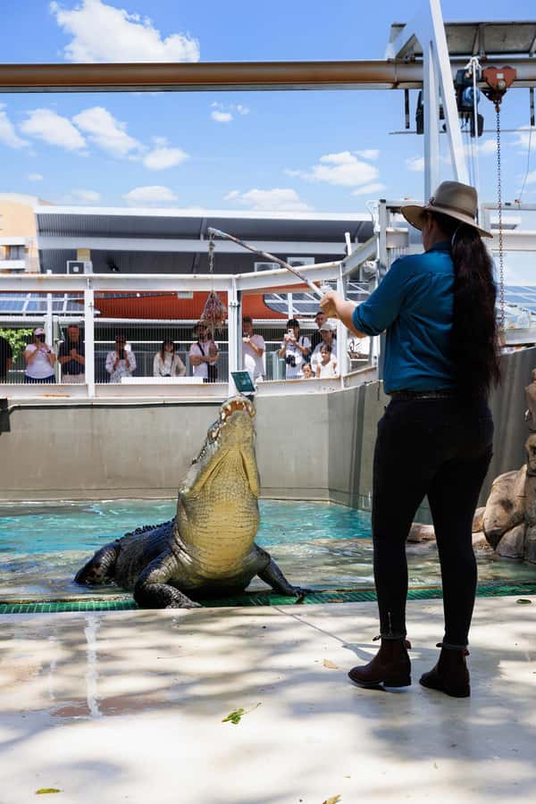Darwin: VIP Crocosaurus Cove Experience - Key points at a glance