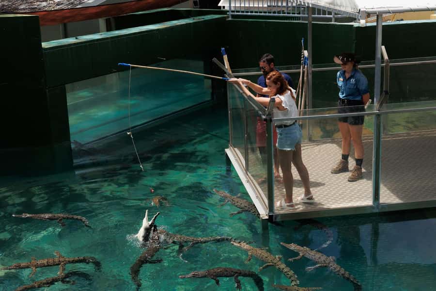 Darwin: VIP Crocosaurus Cove Experience - Why this VIP tour works well in Darwin