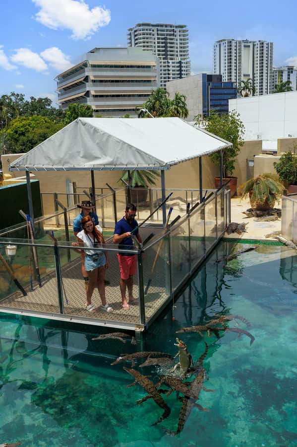 Darwin: VIP Crocosaurus Cove Experience - Who should book this experience