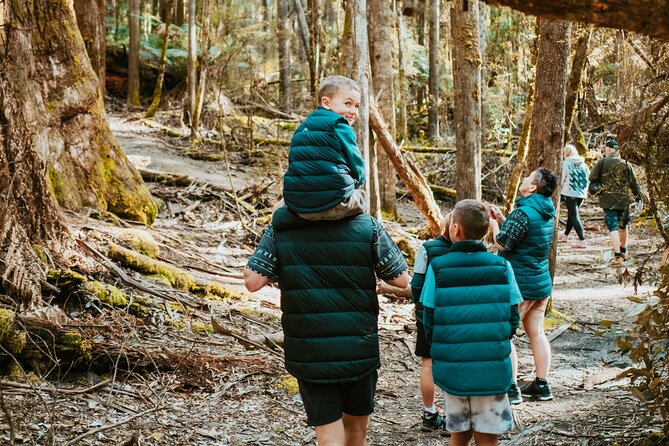 Day Tour in Mt. Field, Mt. Wellington, Bonorong Wildlife Sanctuary and Richmond - Why this one-day Hobart outing works