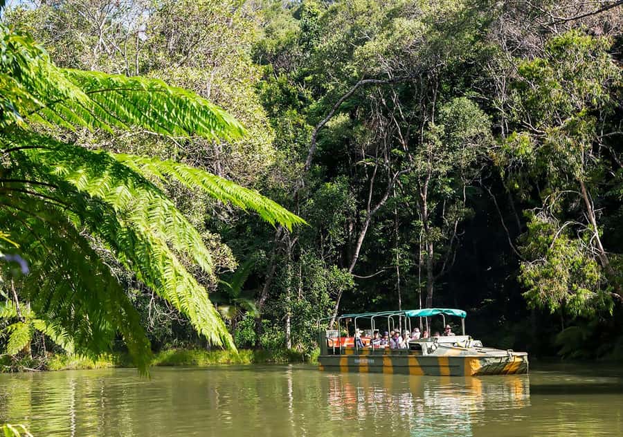 Day Trip: Rainforest & Aboriginal Culture Tour - A long Cairns day with plenty packed in