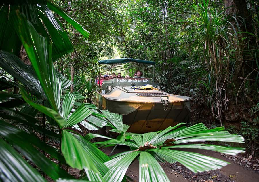 Day Trip: Rainforest & Aboriginal Culture Tour - Tropical Treats and a taste of the local region