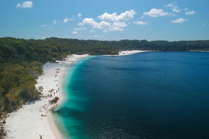 Dingos 3 Day K'Gari (Fraser Island) 4WD Tag-Along Tour - Day two: Eli Creek and the Maheno shipwreck