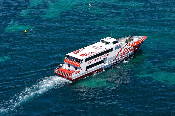 Discover Rottnest with Ferry & Bus Tour - Arriving at Rottnest and finding your quokka moment