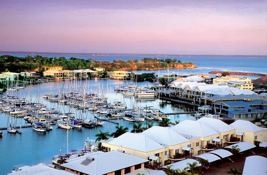 Discover the City of Darwin: Half-Day City Coach Tour - Key points at a glance