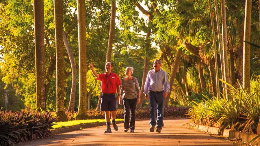 Discover the City of Darwin: Half-Day City Coach Tour - Why this four-hour Darwin tour works well