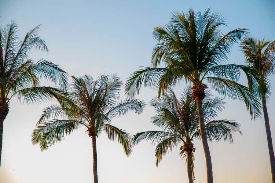 Discover the City of Darwin: Half-Day City Coach Tour - Is $77 good value?