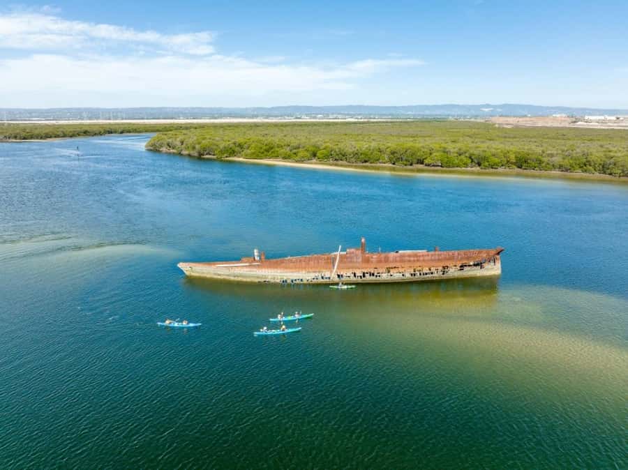 Dolphin Sanctuary and Ships Graveyard Kayak Tour - Key points at a glance