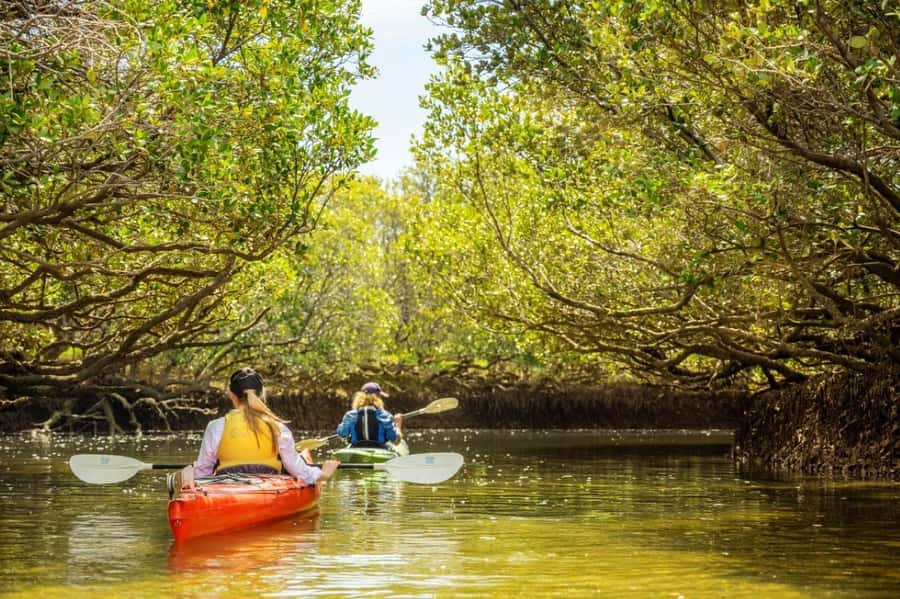 Dolphin Sanctuary and Ships Graveyard Kayak Tour - What makes this Port Adelaide tour different
