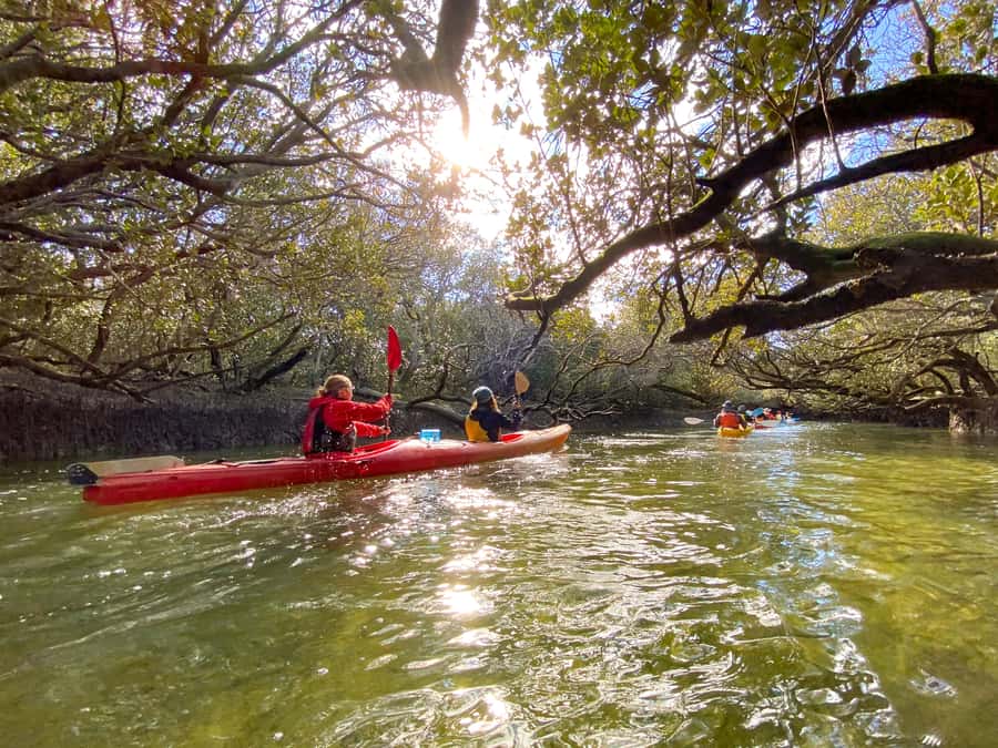 Dolphin Sanctuary and Ships Graveyard Kayak Tour - Starting out on the Port River