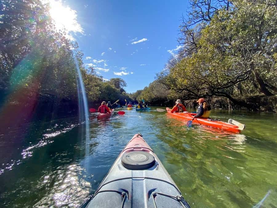 Dolphin Sanctuary and Ships Graveyard Kayak Tour - Exploring the Ships Graveyard Maritime Heritage Trail