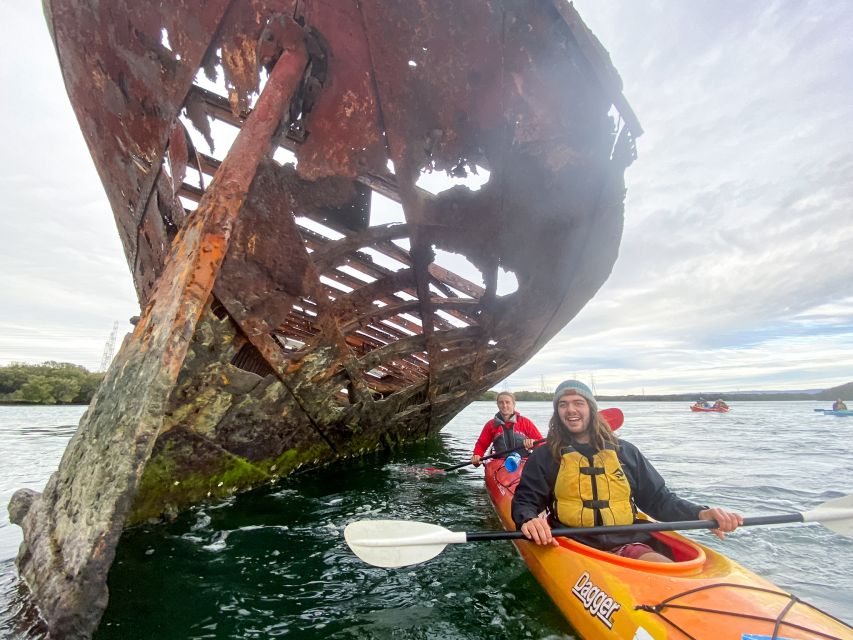 Dolphin Sanctuary and Ships Graveyard Kayak Tour - Clothing, food, and safety