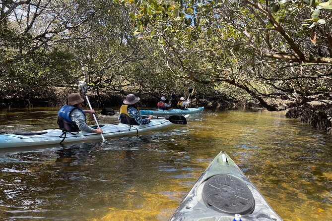 Dolphin Sanctuary Kayak Tour Adelaide - Key points before you book