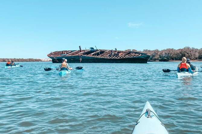 Dolphin Sanctuary Kayak Tour Adelaide - The guides make the biggest difference