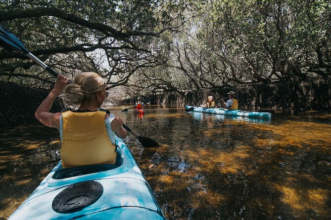 Dolphin Sanctuary Kayak Tour Adelaide - Through the Adelaide Dolphin Sanctuary