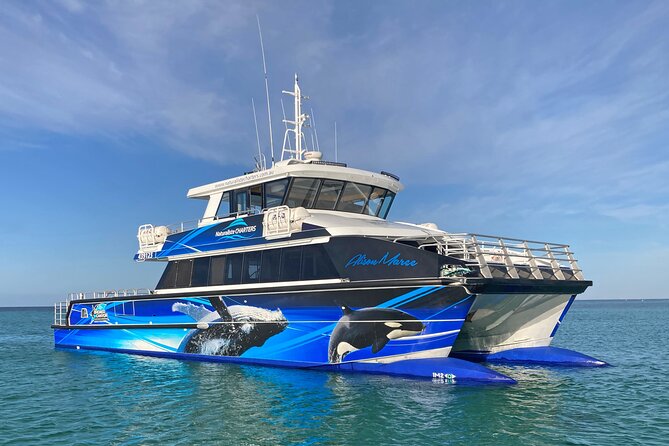 Dunsborough Whale Watching Eco Tour - Why this part of Western Australia is good for whale watching