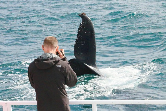 Dunsborough Whale Watching Eco Tour - The marine science commentary