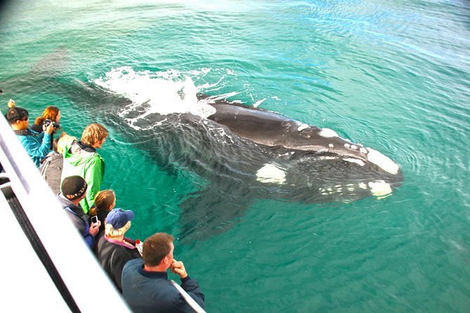 Dunsborough Whale Watching Eco Tour - Inside the purpose-built whale-watching boat