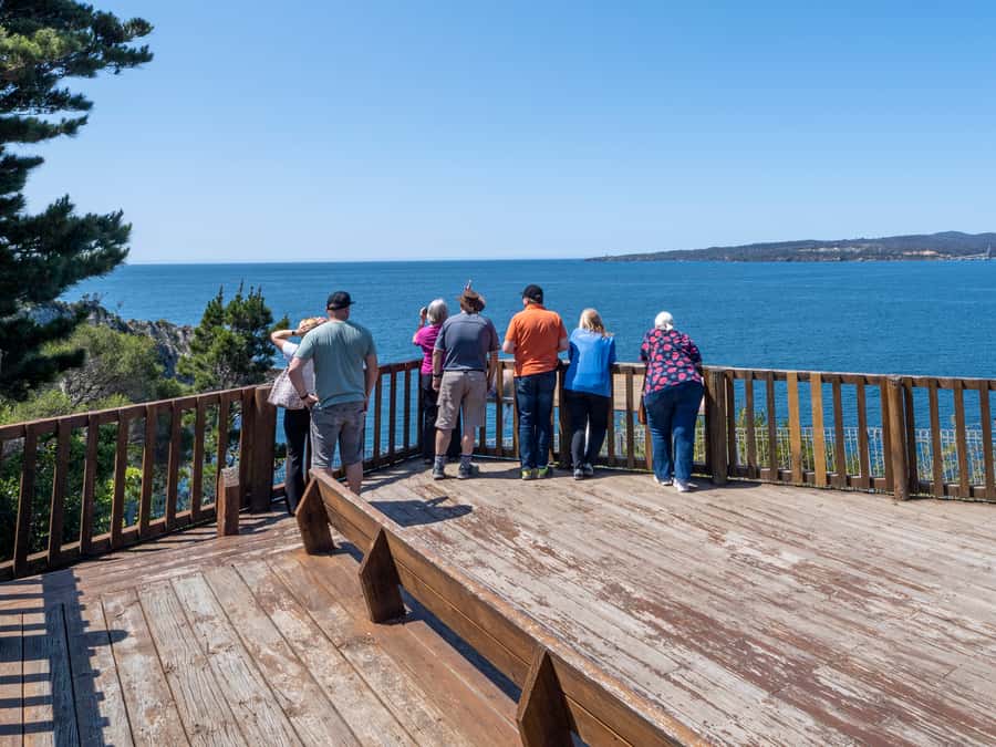 Eden: 2-Hour Highlights Tour, Nature, Beaches and Lookouts - Key points to know before booking