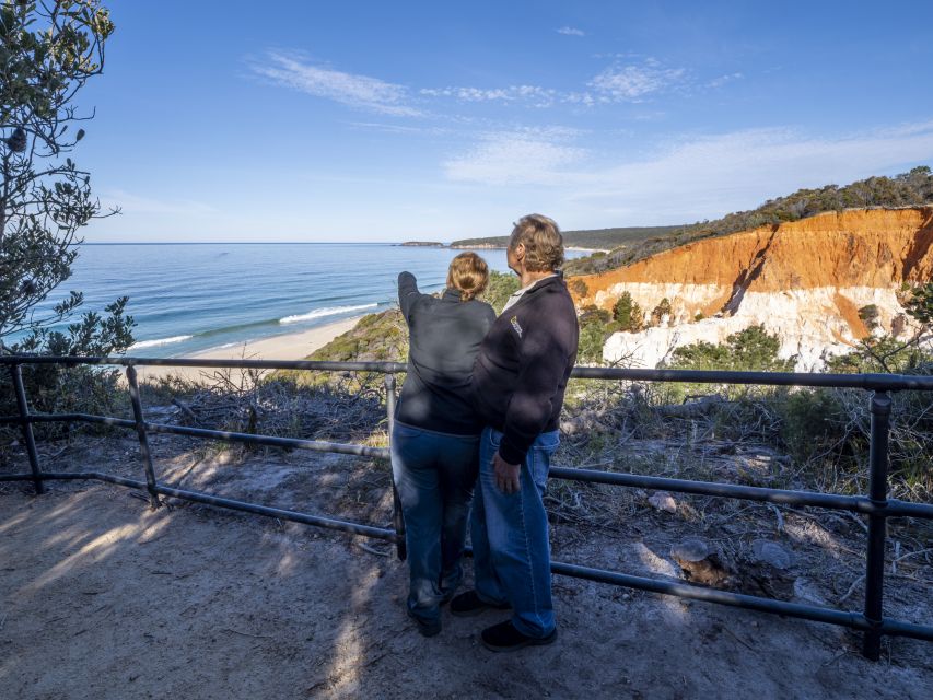 Eden: 2-Hour Highlights Tour, Nature, Beaches and Lookouts - Timing, comfort and practical details