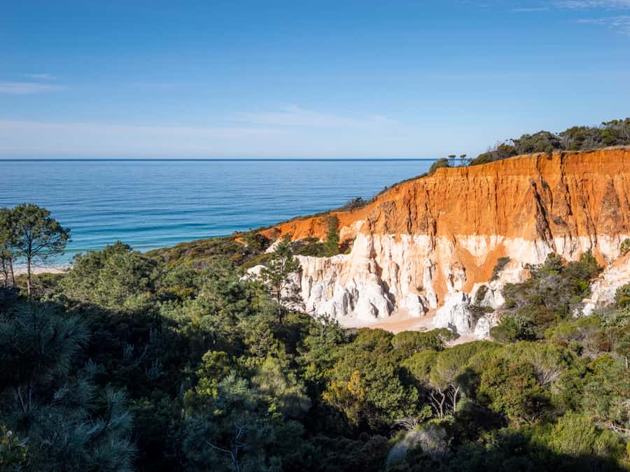 Eden: 2-Hour Highlights Tour, Nature, Beaches and Lookouts - A good fit for a short Eden port call