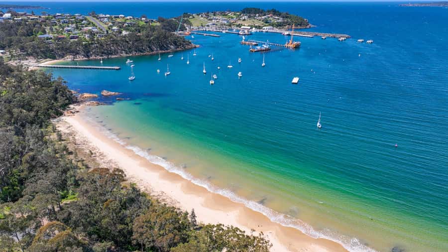 Eden: 2-Hour Highlights Tour, Nature, Beaches and Lookouts - Aslings Beach: sand, surf and a little breathing room