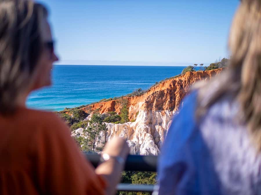 Eden: 2-Hour Highlights Tour, Nature, Beaches and Lookouts - Pinnacles Lookout and Eden’s most dramatic view