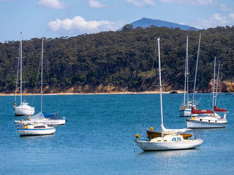 Eden: 2-Hour Highlights Tour, Nature, Beaches and Lookouts - Quarantine Bay adds a story beyond the scenery