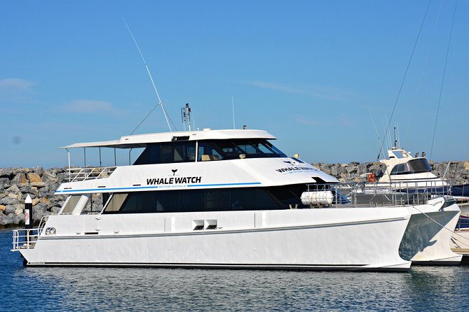 Educational Whale Watching Tour from Perth - Key points to know before you book