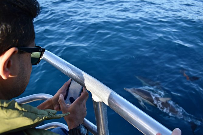 Educational Whale Watching Tour from Perth - Weather, seasickness, and comfort