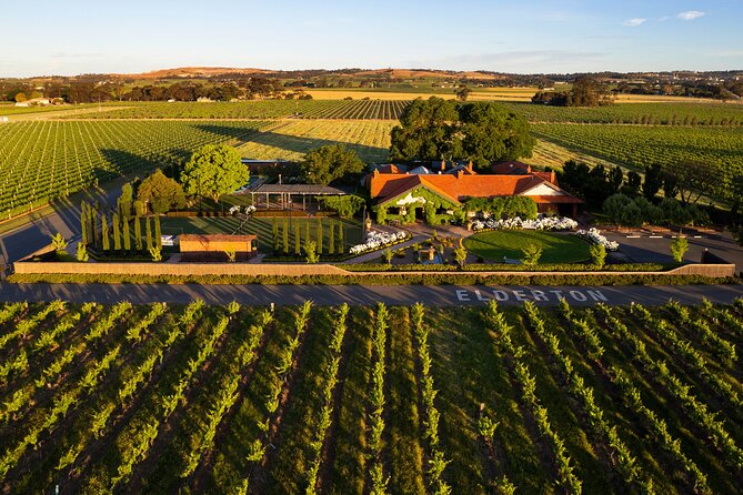 Elderton Elite Tasting Experience - Walking Through the 120-Year-Old Command Vineyard