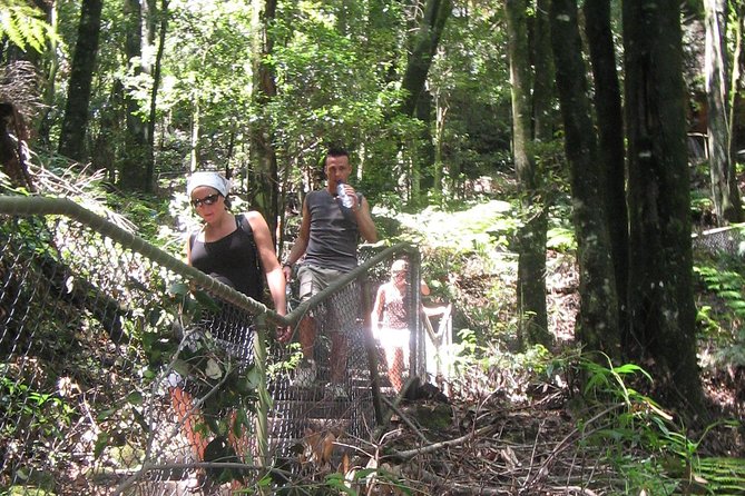 Exclusive Blue Mountains Wildlife and Bushwalk Tour From Sydney - Lunch in Leura, Katoomba, or Another Mountain Village