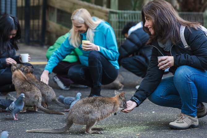 Exclusive Blue Mountains Wildlife and Bushwalk Tour From Sydney - Echo Point and the Three Sisters