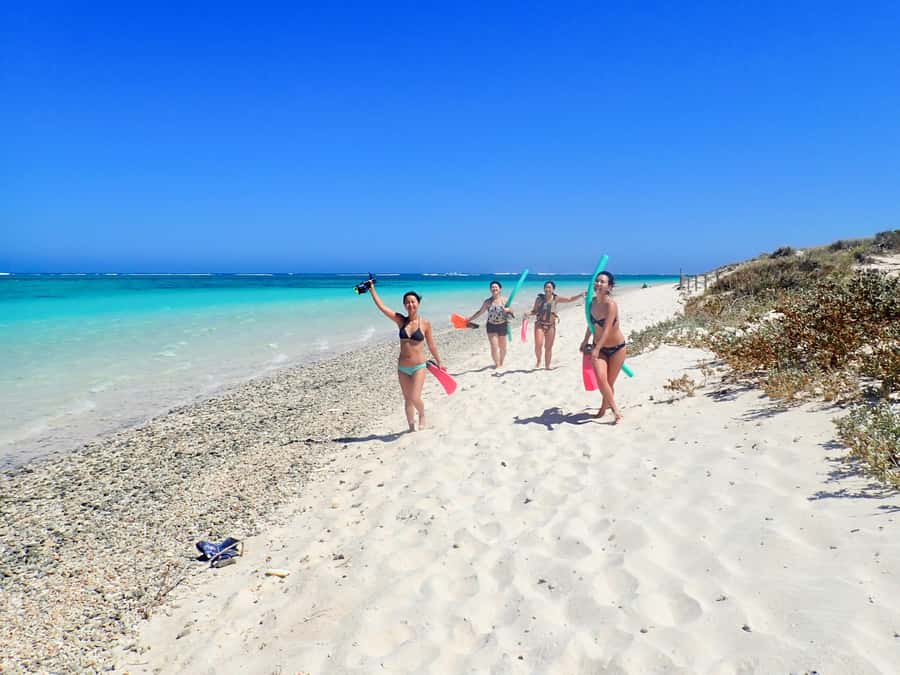 Exmouth: Guided Ningaloo Reef Snorkel Adventure - Key points to know before booking