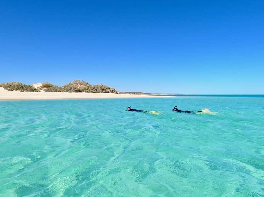 Exmouth: Guided Ningaloo Reef Snorkel Adventure - Safety and the human side of the tour