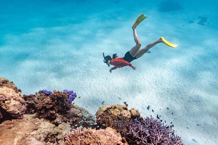 Exmouth: Guided Ningaloo Reef Snorkel Adventure - Morning pickup and the drive north