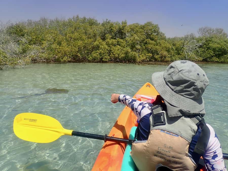 Exmouth: Half Day Turtle Kayak & Snorkel Tour - Key Points To Know Before You Book