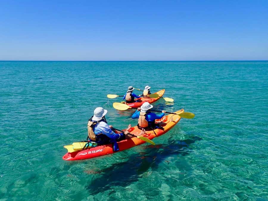 Exmouth: Half Day Turtle Kayak & Snorkel Tour - Getting Set Up With Kayaks And Safety Gear