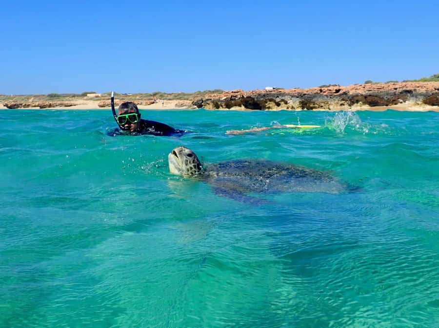 Exmouth: Half Day Turtle Kayak & Snorkel Tour - Pickup From Exmouth And The Short Drive To The Coast