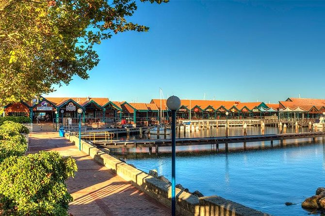 Experience Rottnest with Ferry & Bike Hire - Quokkas and the island’s wildlife