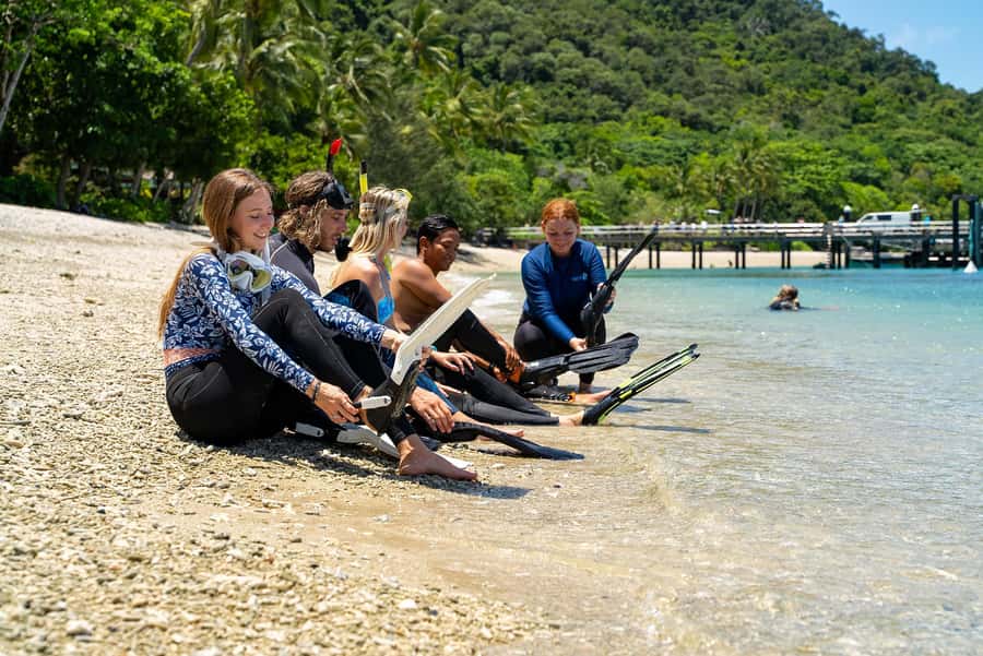 Fitzroy Island: Full-Day Ferry & Snorkel Safari Guided Tour - Snorkel hire until 4:00 PM