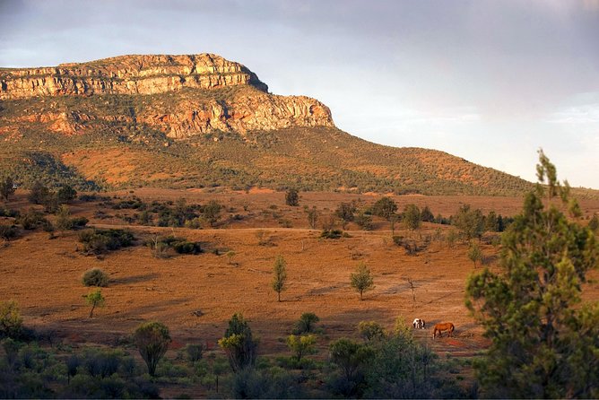 Flinders Ranges 3-Day Small Group 4WD Eco Tour from Adelaide - Wilpena Pound from the air