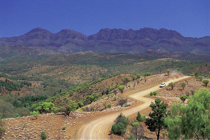 Flinders Ranges 3-Day Small Group 4WD Eco Tour from Adelaide - Is the $1,646.07 price fair?