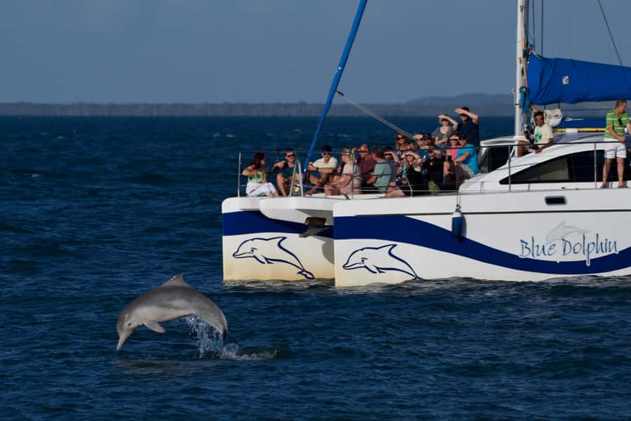 Fraser Island 4-Hour Eco-Sailing Adventure - AquaMat, boom net, and the swimming stop